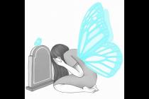 死亡是一只桦斑蝶